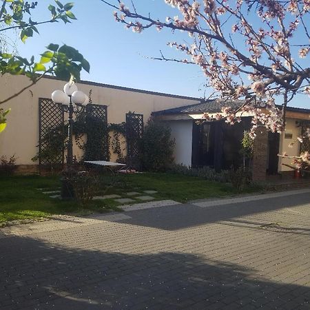 Pensiune Arada Exterior photo
