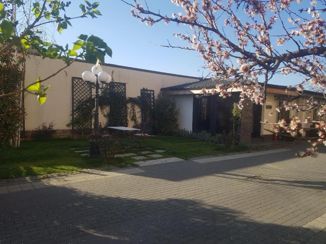 Pensiune Arada Exterior photo